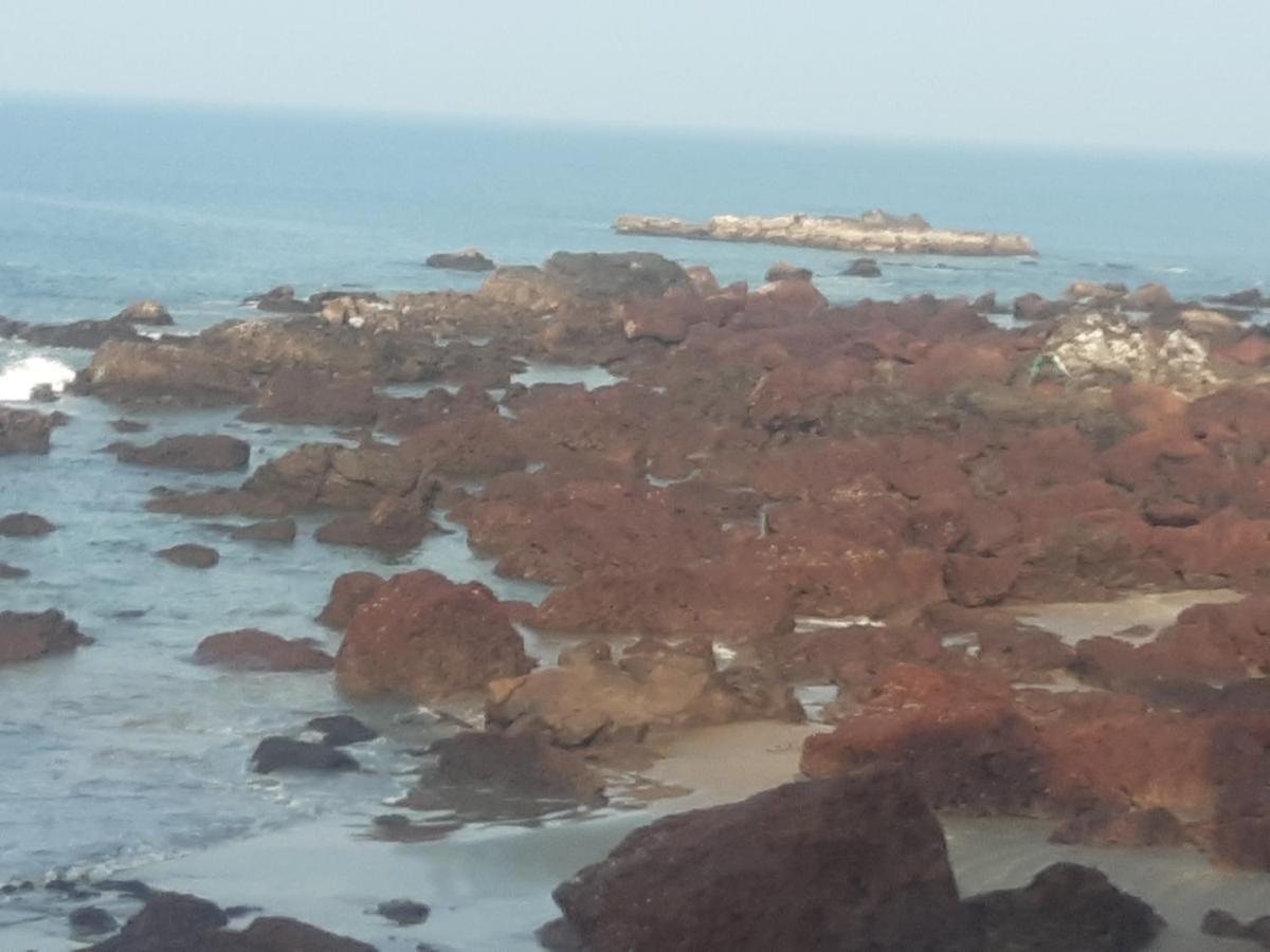 Om Ganesh Guest House Cliffside Arambol Ngoại thất bức ảnh